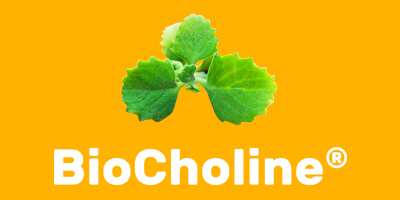 Biocholine